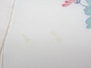 シミヌキbefore